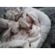 Kép 4/4 - Halvány rózsaszín felhős babafészek, Farg&Form