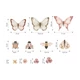 Kép 3/3 - coccinella pillangók méretei